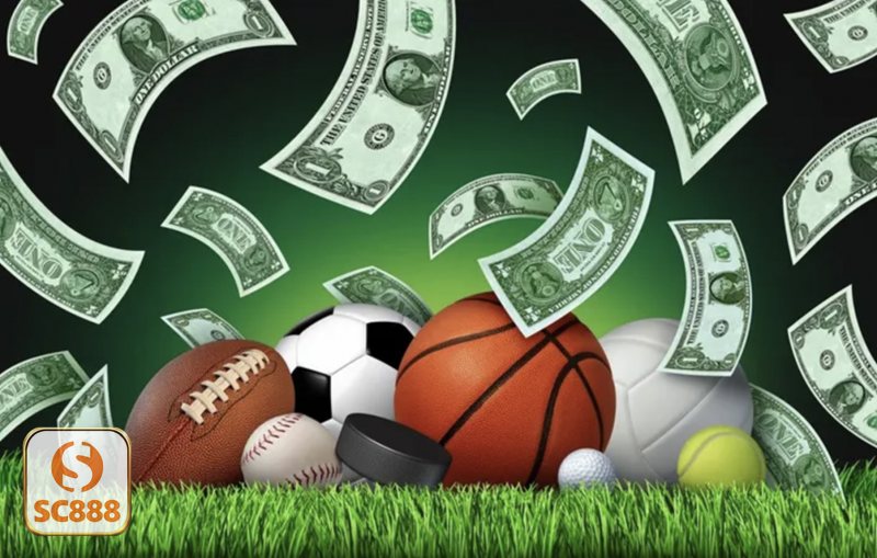 Cá cược bóng chuyền - Các bước đặt cược chi tiết cho tân thủ Cá cược bóng chuyền - Các bước đặt cược chi tiết cho tân thủ