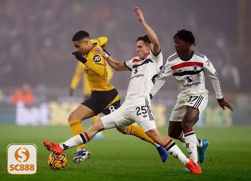 Thể Thao SC888 - Hệ sinh thái giải đấu đa dạng Thể Thao SC888 - Hệ sinh thái giải đấu đa dạng